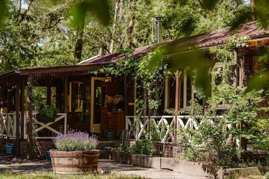 Forest Cottage With Lovely Garden & Sauna Doornspijk Exterior photo