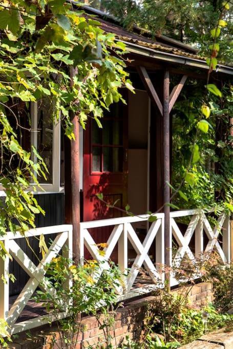 Forest Cottage With Lovely Garden & Sauna Doornspijk Exterior photo